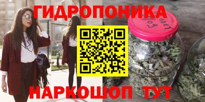 МДПВ Будённовск